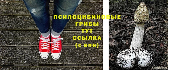ешки Заволжье
