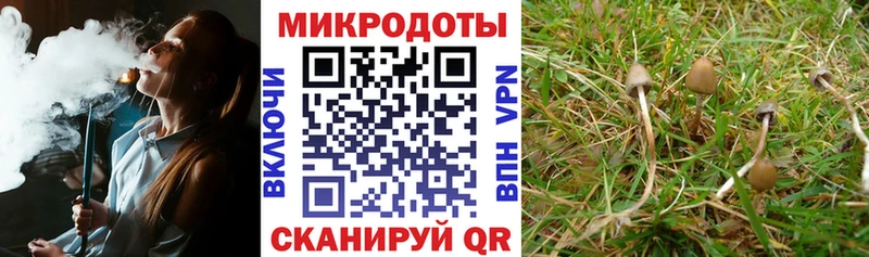Купить где  Ртищево  Галлюциногенные грибы GOLDEN TEACHER 